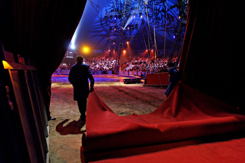 A Cirque - Tapis rouge.jpg