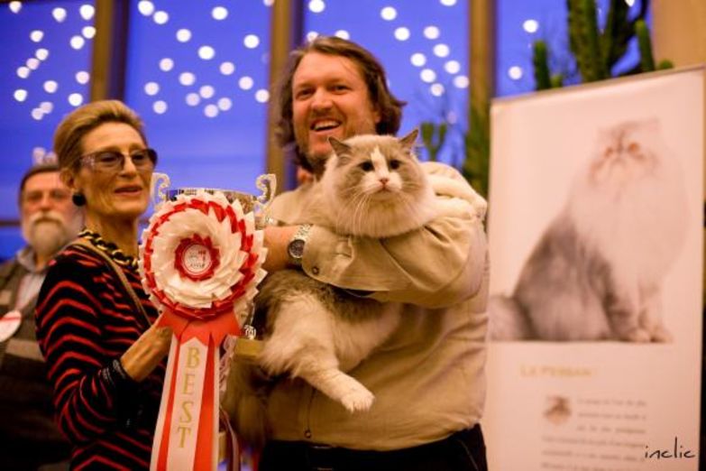 I gatti più belli in mostra a Monaco.             ...