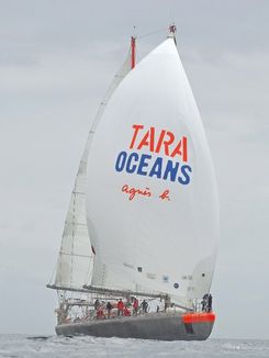 A Tara-Djibouti-©J. Girardot-Fonds Tara.jpg