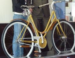 bici pitone.jpg