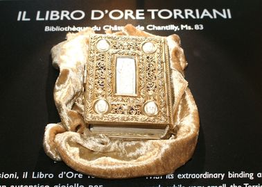 libro torr chiuso.jpg