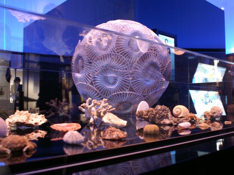 mostra Mediterraneo montecarloin.net.jpg