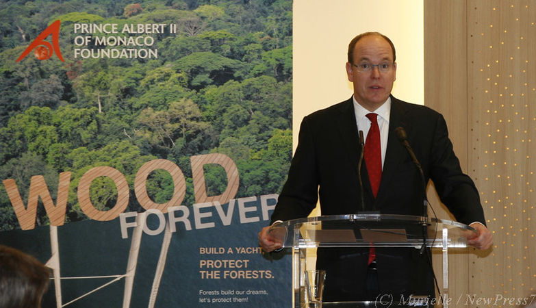 FPA2: Anno Internazionale delle Foreste.