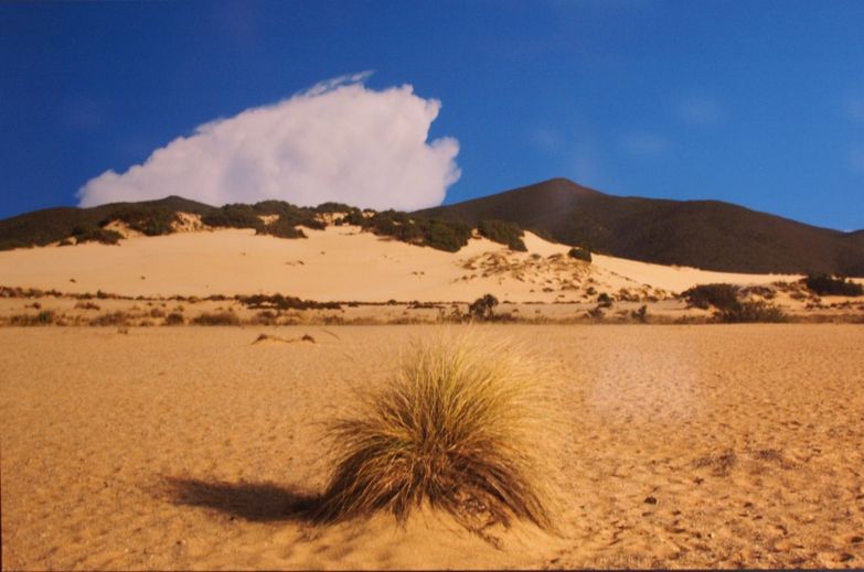 La Sardegna in mostra nel Principato.