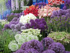 Monaco al Chelsea Flower Show.