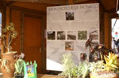 Monacology Jardin Exotique.jpg