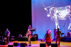 Concert de Johnny Clegg-Salle Garnier.jpg