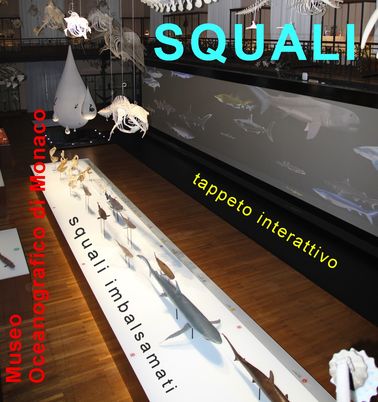 Mostra squali-montecarloin.net.JPG